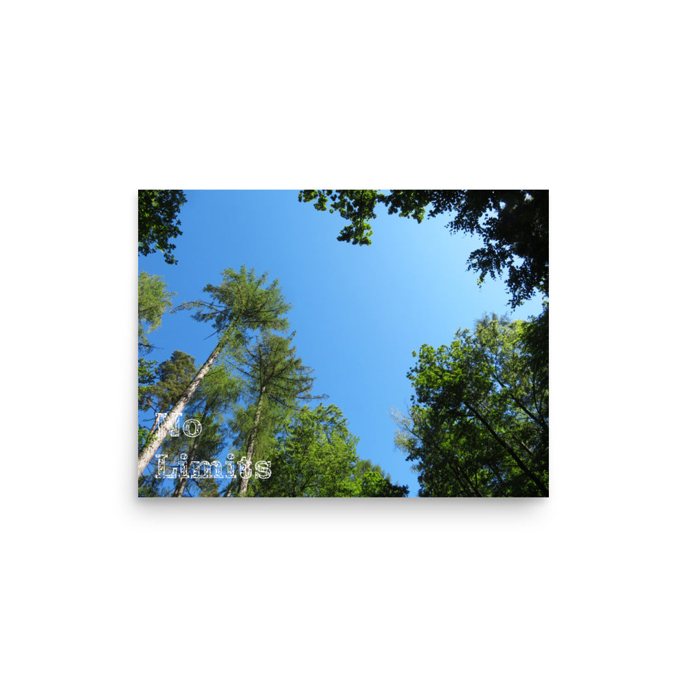 Tree tops against a blue sky with 'No Limits' text.