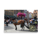 Horse-drawn carriage with a driver in an urban setting with people and buildings.