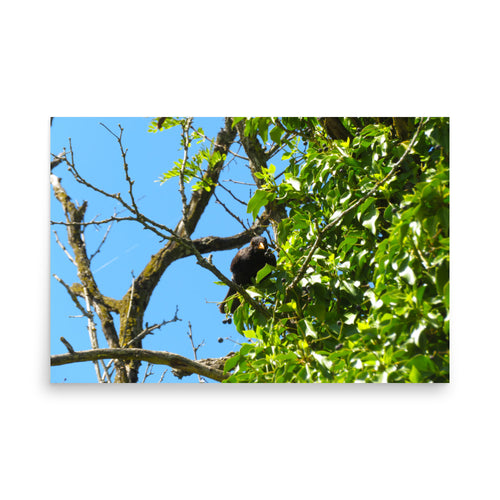 Bird perched on a branch among green leaves with a blue sky background