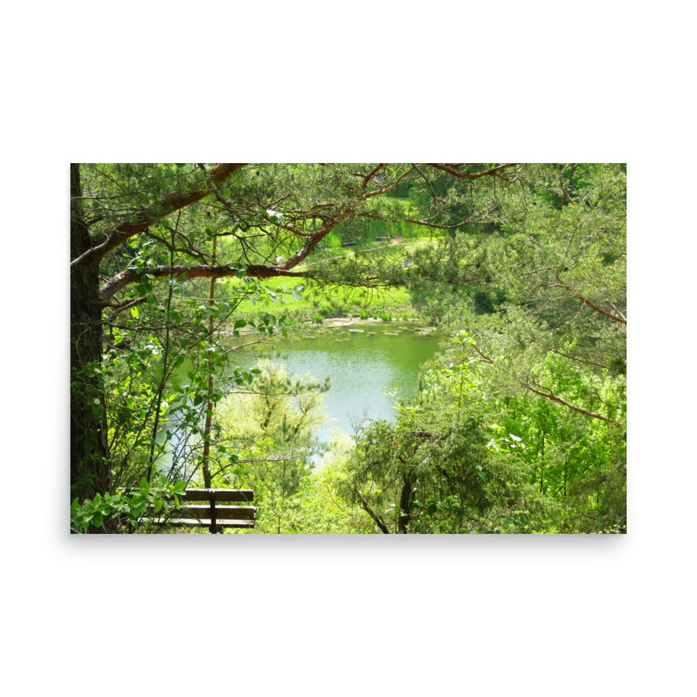 Wooden bench in a serene forest setting with a lake