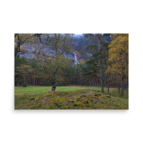 Forest scene with rocky mound in foreground and water streaming down Mountain in background 