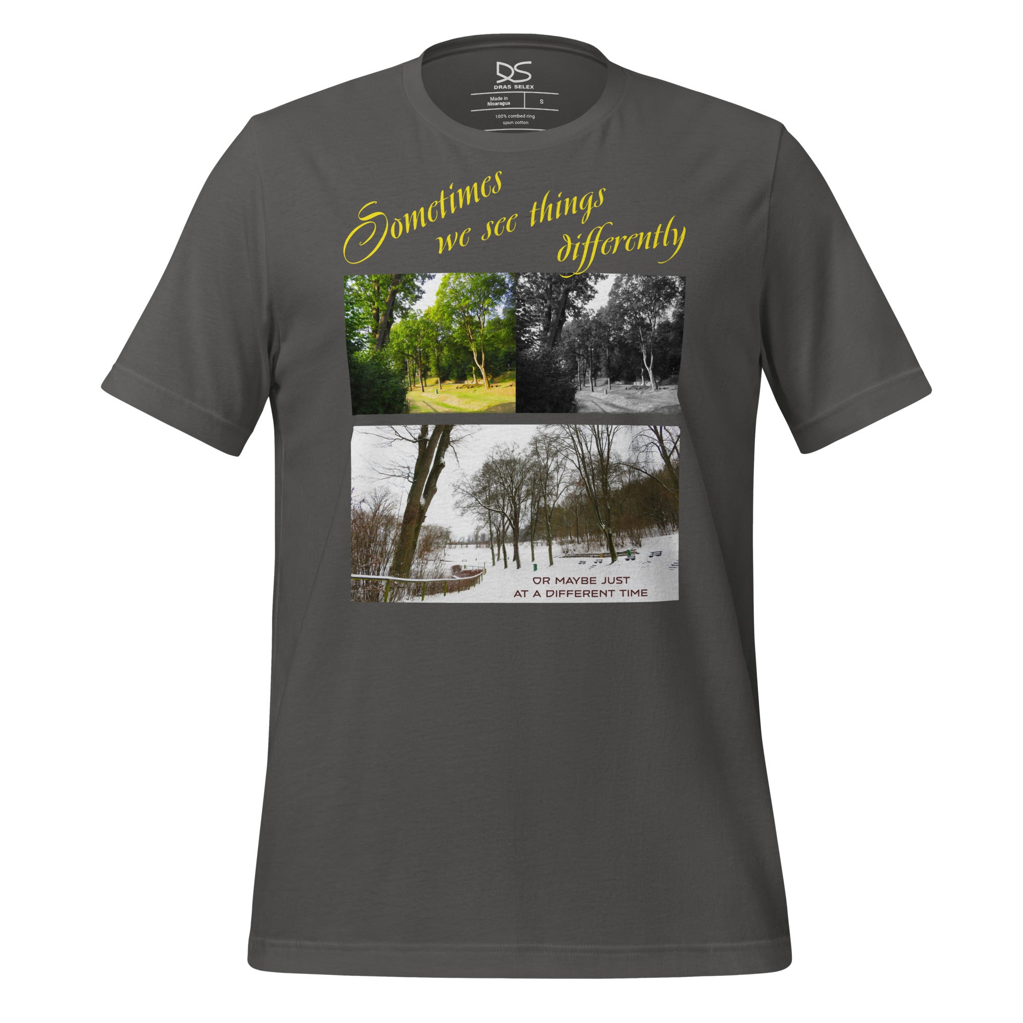 Three versions of park photo, summer, winter, black and white 